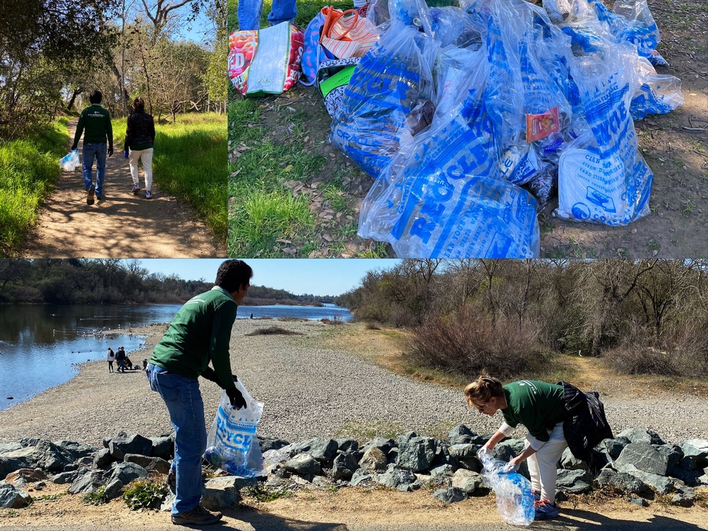 M.T.O. Sacramento Participates in River Clean-Up