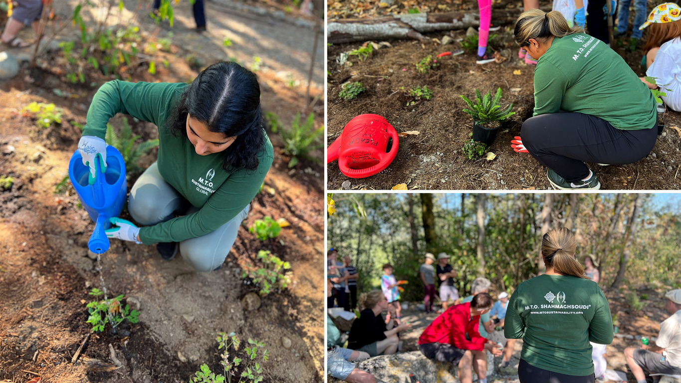 M.T.O. Vancouver Sustainability Volunteers Help Community Organization with Planting in Local Forest