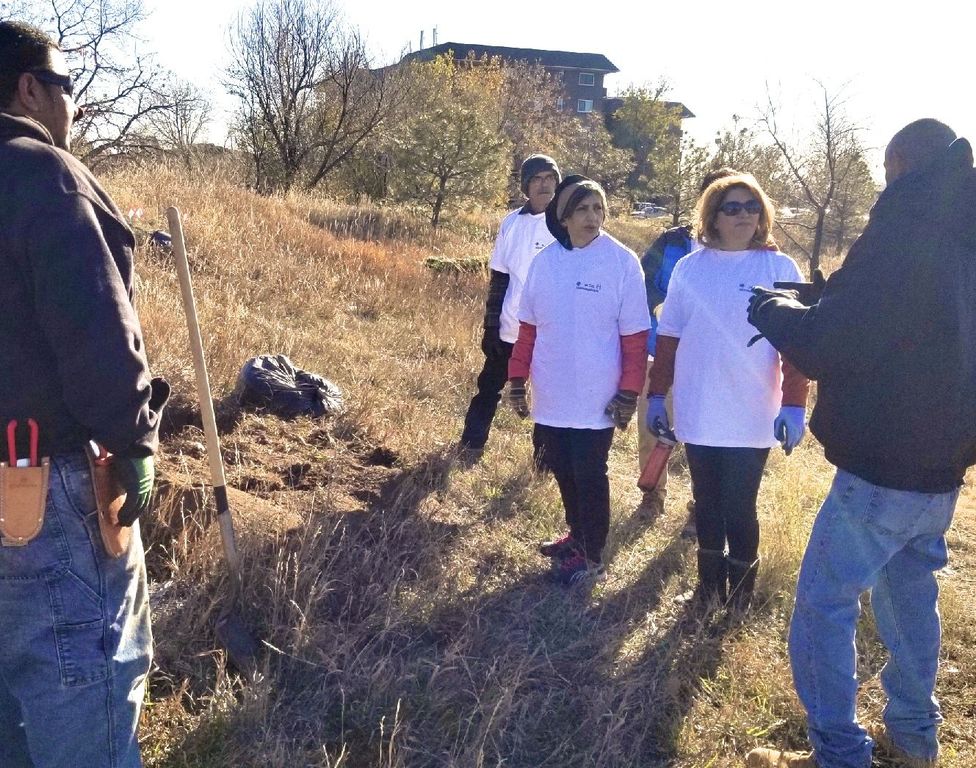 M.T.O. Denver Volunteers for Tree Planting Project