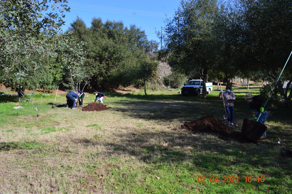   M.T.O. San Diego Celebrates the Birthday of Professor Sadegh Angha by Planting Trees in Local Park and Donating PPE