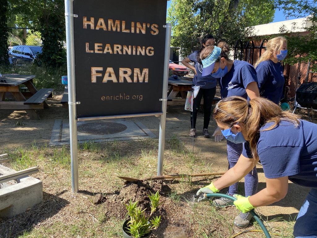 Los Angeles Unified School District Receives Trees from M.T.O. Los Angeles