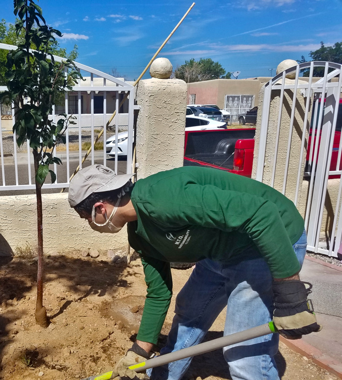 M.T.O. Albuquerque participates in Neighborhood Tree Planting