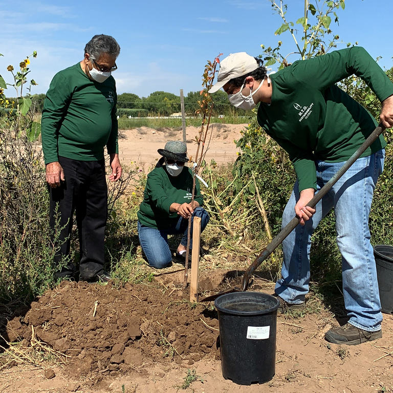 M.T.O. Albuquerque Joins New Mexico Interfaith Group to Plant Trees